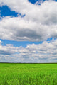 Landscape Wall Mural