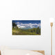 View Of Kenai Mountains From Lost Lake Trail Wall Mural