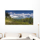 View Of Kenai Mountains From Lost Lake Trail Wall Mural
