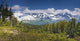 View Of Kenai Mountains From Lost Lake Trail Wall Mural
