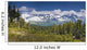 View Of Kenai Mountains From Lost Lake Trail Wall Mural