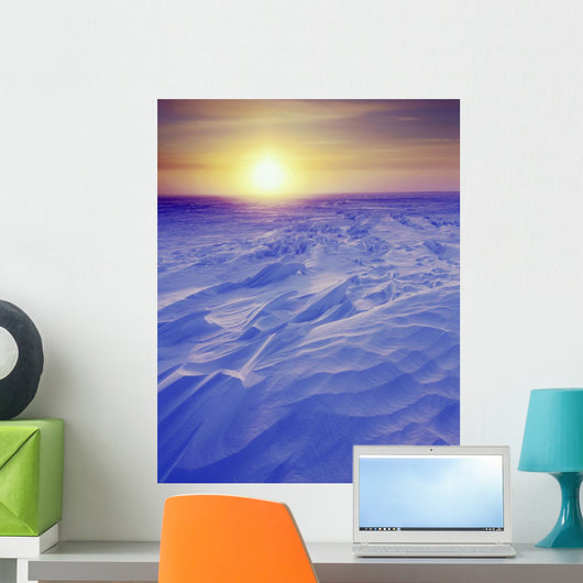 Sunset Over Wind-Carved Snow Drifts North Slope Arctic Ak Wall Mural