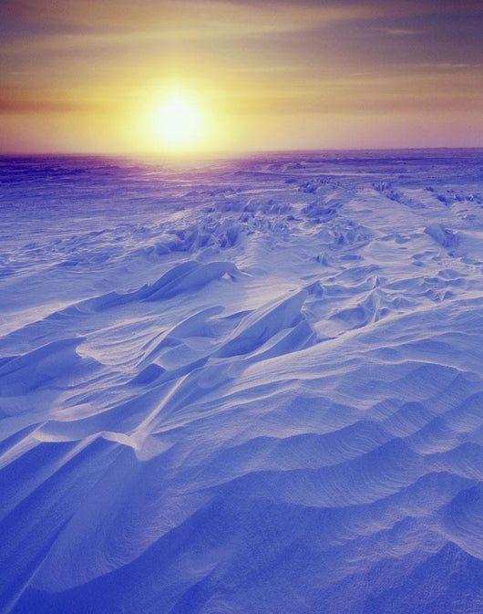 Sunset Over Wind-Carved Snow Drifts North Slope Arctic Ak Wall Mural