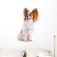 Dog Breed Papillon
