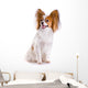 Dog Breed Papillon