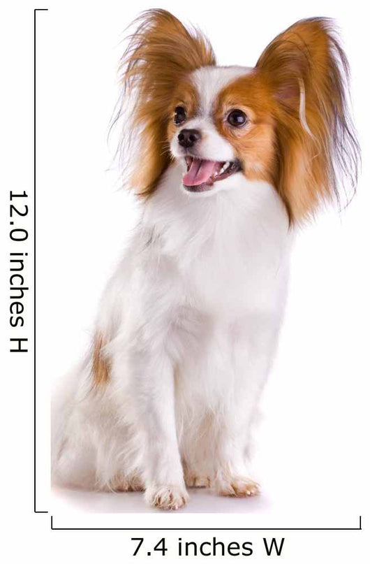 Dog Breed Papillon