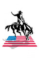 American Rodeo Wall Decal