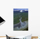 Aerial Of Ibeck Creek & Scott Glacier Sc Ak Summer Copper River Delta Wall Mural