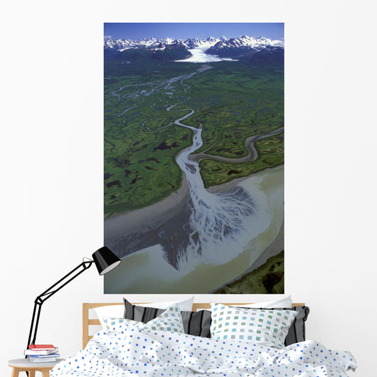 Aerial Of Ibeck Creek & Scott Glacier Sc Ak Summer Copper River Delta Wall Mural