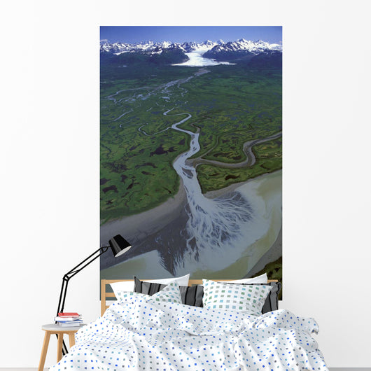 Aerial Of Ibeck Creek & Scott Glacier Sc Ak Summer Copper River Delta Wall Mural