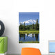 Mt Mckinley Reflecting Wall Mural
