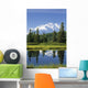 Mt Mckinley Reflecting Wall Mural