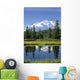 Mt Mckinley Reflecting Wall Mural