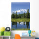 Mt Mckinley Reflecting Wall Mural