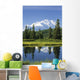 Mt Mckinley Reflecting Wall Mural