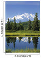 Mt Mckinley Reflecting Wall Mural
