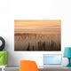 Sunrise Over A Foggy Forest Wall Mural