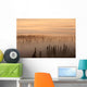 Sunrise Over A Foggy Forest Wall Mural
