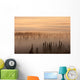 Sunrise Over A Foggy Forest Wall Mural