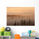 Sunrise Over A Foggy Forest Wall Mural
