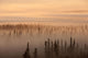 Sunrise Over A Foggy Forest Wall Mural