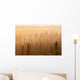 Sunrise Over A Foggy Forest Wall Mural