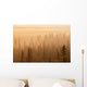 Sunrise Over A Foggy Forest Wall Mural