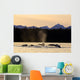 Humpback Whales Swim Wall Mural