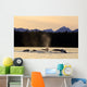 Humpback Whales Swim Wall Mural