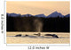Humpback Whales Swim Wall Mural