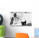 Two Young Brown Bears Fishing For Salmon At The Base Of A Waterfall Wall Mural