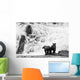 Two Young Brown Bears Fishing For Salmon At The Base Of A Waterfall Wall Mural