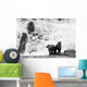 Two Young Brown Bears Fishing For Salmon At The Base Of A Waterfall Wall Mural