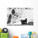 Two Young Brown Bears Fishing For Salmon At The Base Of A Waterfall Wall Mural
