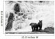 Two Young Brown Bears Fishing For Salmon At The Base Of A Waterfall Wall Mural
