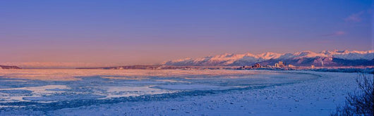 Panorama Anchorage Skyline Wall Decal
