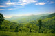 Mountain Meadows Wall Decal