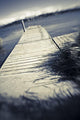 A Dock Juts Out From Shore In A City Park In Homer Alaska Wall Mural