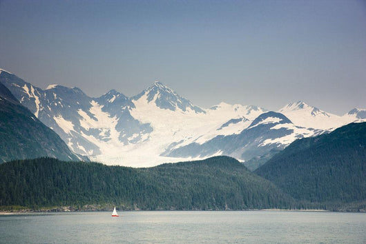 View Of Passage Canal, Whittier, Southcentral Alaska, Summer Wall Mural