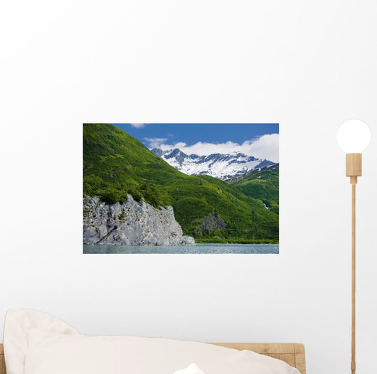 Summer Wall Mural