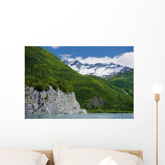 Summer Wall Mural