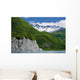 Summer Wall Mural