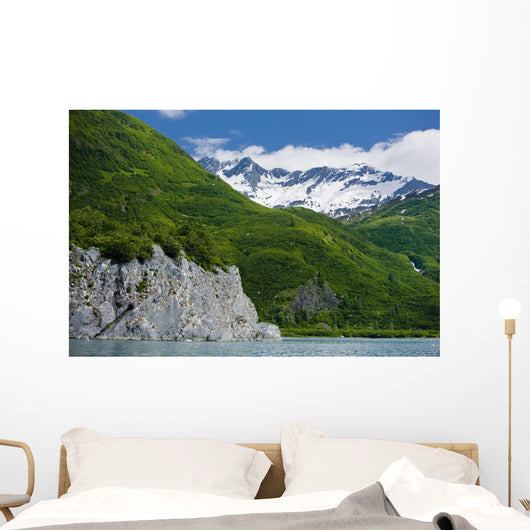Summer Wall Mural