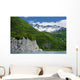 Summer Wall Mural