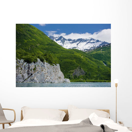 Summer Wall Mural