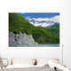 Summer Wall Mural