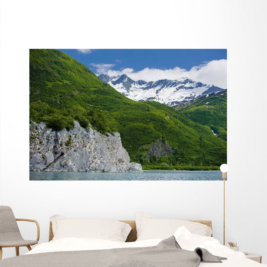 Summer Wall Mural