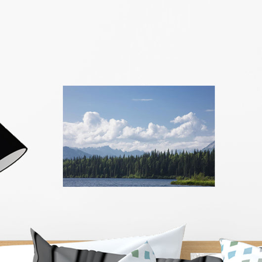 View Of The Alaska Range From Byers Lake Wall Mural