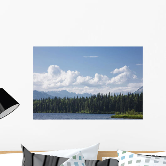 View Of The Alaska Range From Byers Lake Wall Mural