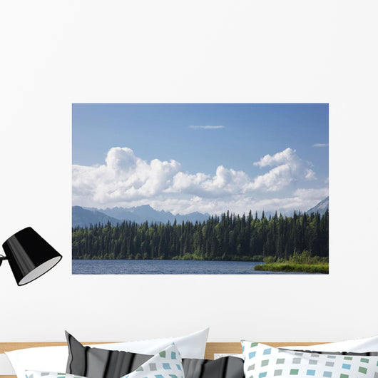 View Of The Alaska Range From Byers Lake Wall Mural